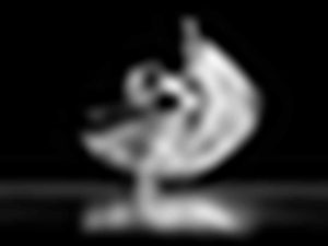 david-hofmann-562530-unsplash